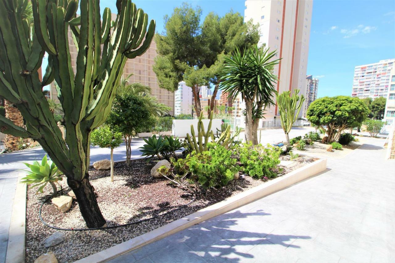 Atico Levante Torre Montecarlo Бенидорм Экстерьер фото